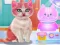 Spill Kitty Dental Caring online