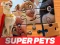 Spill DC League of Super Pets Jigsaw Puzzle online