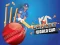 Spill Cricket World Cup Game online
