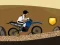 Spill Crazy Bike Ride online