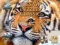 Spill Jigsaw Puzzles Classic online