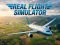 Spill Real Flight Simulator online