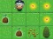 Spill Magic Seeds online