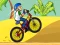 Spill BMX Boy Online online