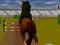 Spill Jumping Horse 3d online