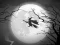 Spill The Night Of the Witches Jigsaw online