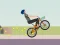 Spill Wheelie Biker online