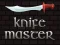 Spill Knife Master online