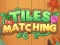 Spill Tiles Matching online