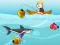 Spill Novice Fisherman online