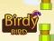 Spill Birdy Bird online