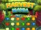 Spill Harvest Mania online