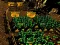 Spill Pixel Farm online