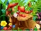 Spill Hidden Objects Insects online