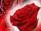Spill Red Roses online