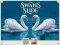 Spill Swans Slide online