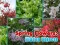 Spill Spring Flowers: Hidden Objects online