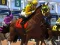 Spill Horse Racing online