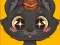 Spill Sweet business of cats: cakes online