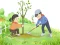 Spill Arbor Day Puzzle online