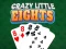 Spill Crazy Little Eights online