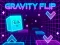 Spill Gravity Flip online
