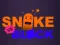 Spill Snake vs Blocks online