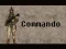 Spill Commando online