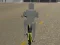Spill Bicycle Simulator online