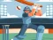 Spill Pong Cricket online
