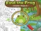 Spill Find the Frog Hidden Objects online