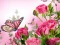 Spill Butterflies Puzzle online