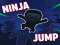 Spill Ninja jump online