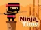 Spill Ninja Time online