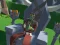 Spill Lazy Orcs: Arena online