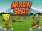 Spill Arrow Shoot online