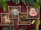 Spill Animal Shapes 3 online