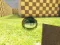 Spill Ball Physics Simulator online