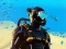 Spill Underwater Survival Deep Dive online