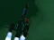 Spill Spacecraft II online