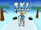 Spill Ski Rush 3d online
