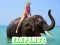 Spill Elephants Puzzle online