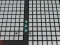Spill Stug Balls online