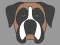 Spill Doggy Face Coloring online