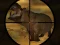 Spill Classical Hippo Hunting online