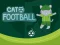 Spill Cat Football online