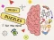 Spill Brain Puzzles Quests online