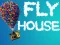 Spill Fly House online