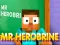 Spill Mr Herobrine online