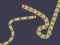 Spill Slither Classic online